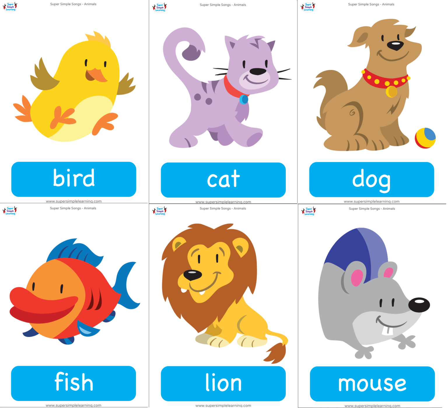 Pet Flashcards Teacher Made Twinkl - vrogue.co